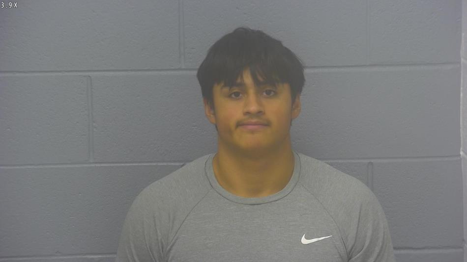 Arrest photo of JESUS SALAS GARCIA 